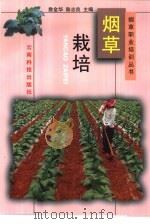 烟草栽培   1998  PDF电子版封面  7541611298  陈志良，姜玉芬编写 