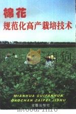 棉花规范化高产栽培技术   1998  PDF电子版封面  7508206479  毛树春主编 