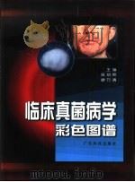 临床真菌病学彩色图谱   1999  PDF电子版封面  7535920101  吴绍熙，廖万清主编 