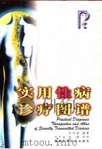 实用性病诊疗图谱（1999 PDF版）