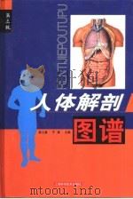 人体解剖图谱（1973 PDF版）