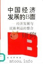 中国经济发展的Ｂ面 经济发展与民族利益的整合   1997  PDF电子版封面  710502593X  王文长著 