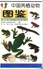 中国两栖动物图鉴   1999  PDF电子版封面  7534918359  中国野生动物保护协会主编；费梁执行主编 