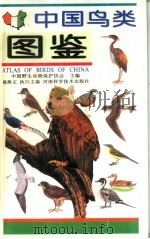 中国鸟类图鉴（1995 PDF版）