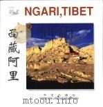 西藏阿里  中英文本（1999 PDF版）