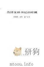 当团支部书记的时候   1983  PDF电子版封面  3009·228  江毅民等著 