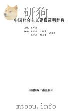 中国社会主义建设简明辞典   1988  PDF电子版封面  7800351823  石翠岩主编 