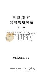 中国农村发展战略问题（1985 PDF版）