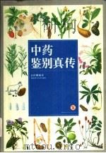 中药鉴别真传（1995 PDF版）
