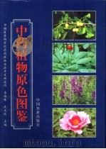 中药植物原色图鉴（1999 PDF版）