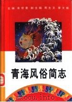 青海风俗简志   1994  PDF电子版封面  7225007742  朱世奎主编 