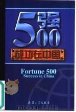 500强成功在中国（1999 PDF版）