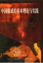 中国煤成烃基本理论与实践   1994  PDF电子版封面  7502009124  吴俊著 