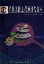 植物基因工程原理与技术   1998  PDF电子版封面  7030064526  王关林，方宏筠主编 