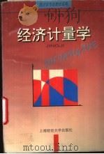 经济计量学   1996  PDF电子版封面  7810490478  李长风编著 