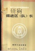 掘进区  队  长   1995  PDF电子版封面  7502011838  王明新，展良荣编写 