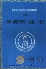 采煤班  组  长   1995  PDF电子版封面  7502011218  李华光等编写 