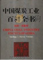 中国煤炭工业百科全书  地质·测量卷   1996  PDF电子版封面  7502010475  杨锡禄，周国铨主编 