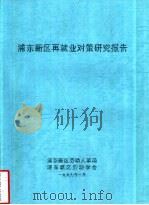 浦东新区再就业对策研究报告     PDF电子版封面    浦东新区劳动人事局，浦东新区劳动学会 