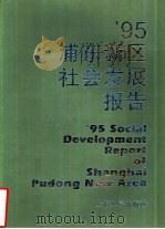 95浦东新区社会发展报告（1995 PDF版）