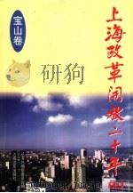上海改革开放二十年  宝山卷   1998  PDF电子版封面  7806135871  顾维安主编 