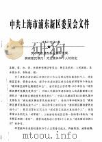 中共上海市浦东新区委员会文件     PDF电子版封面     