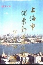 上海市浦东新区地名志   1994  PDF电子版封面  7562804516  陈少能等主编 