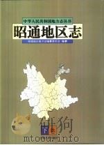 昭通地区志  下（1999 PDF版）