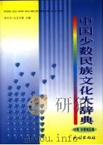 中国少数民族文化大辞典  中南、东南地区卷   1999  PDF电子版封面  7105033894  铁木尔·达瓦买提主编 