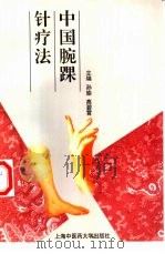 中国腕踝针疗法（1999 PDF版）