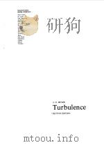 TURBULENCE   1975  PDF电子版封面    J.O.HINZE 