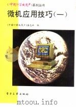 微机应用技巧  1   1994  PDF电子版封面  7505323741  《中国计算机用户》杂志社编 