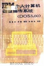 IBM个人计算机磁盘操作系统 DOS3.00   1986  PDF电子版封面  15175·704  宛昌杰，罗蕾编译 
