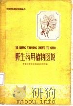 野生药用植物图说   1959  PDF电子版封面  T16111·108  中国科学院华南植物研究所编 