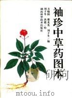 袖珍中草药图本（1997 PDF版）