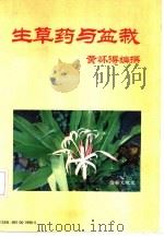 生草药与盆栽   1990  PDF电子版封面  9810019904  黄怀得编撰 