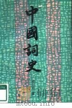 中国词史（1990 PDF版）