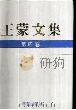 王蒙文集  第4卷   1993  PDF电子版封面  7800398161  郭友亮，孙波主编 