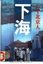 一个北京人下海（1995 PDF版）