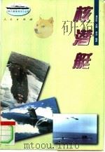 核潜艇   1996  PDF电子版封面  7010024472  寒羽编著 