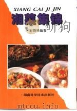 湘莱集锦（1999 PDF版）