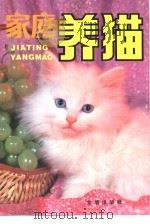 家庭养猫   1991  PDF电子版封面  7800223361  朱维正，杨振国编著 