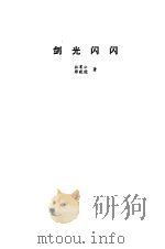 剑光闪闪   1981  PDF电子版封面  7015·1915  林震公，郭毅能著 