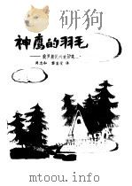 神鹰的羽毛  俄罗斯民间童话选（1981 PDF版）