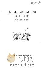 小小蚂蚁国   1981  PDF电子版封面  13056·136  彭懿，吴著 