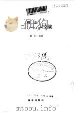 二十世纪大空战   1992  PDF电子版封面  7502719725  晴川主编 