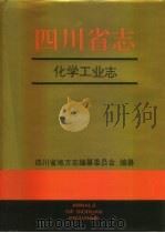 四川省志·化学工业志（1996 PDF版）