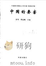 中国的要害   1999  PDF电子版封面  7508016165  周明，傅溪鹏主编 