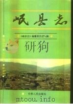 岷县志（1995 PDF版）