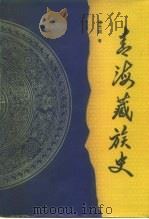 青海藏族史   1997  PDF电子版封面  7542006223  陈光国著 